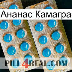 Ананас Камагра new08